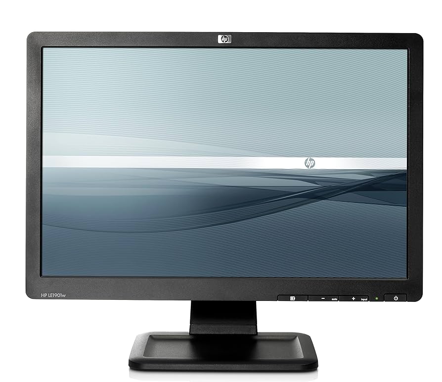 Amazon.com: LE1901w 19-inch Widescreen LCD Monitor : Electronics